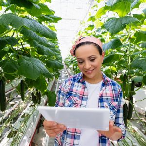 Cheerful farmer holding digital tablet near plants with cucumbers