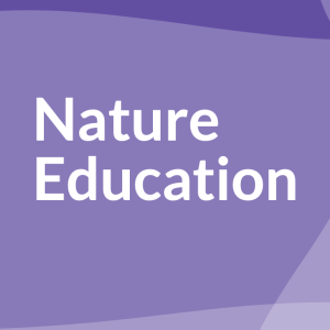 Purple background with abstract wavy shapes and white text, centered, that reads, "Nature Education"