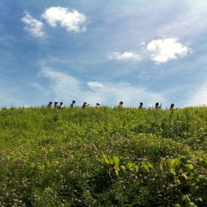 A single-file line of young people walk in the distance through a prairie. Blue sky and whispy clouds above.