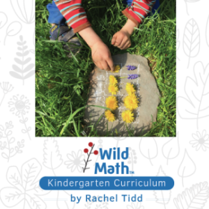Cover art for Wild Match text