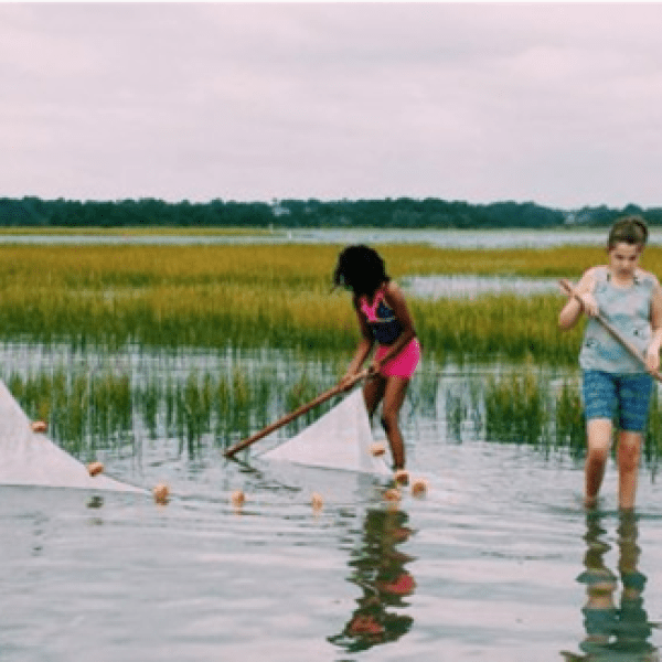 Children from local NC community group use nets to collect estuarine species. Photo courtesy of North Carolina Coastal Federation