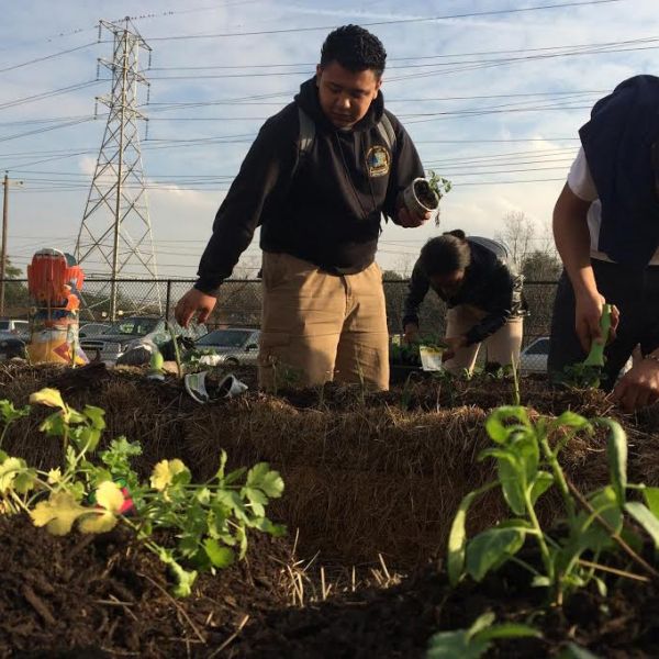 Furr HS Students in School Garden