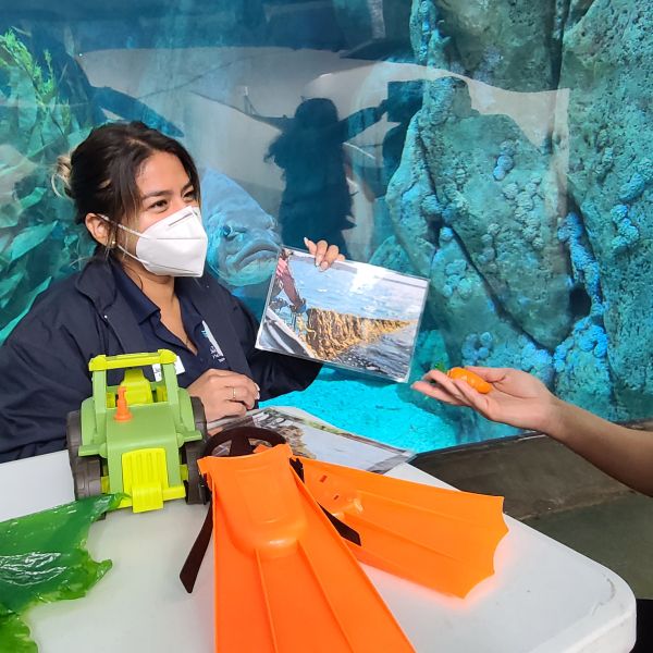 Photo of a masked woman sitting in front of an aquarium exhibit. A large fish stares out at the woman who is holding a photo of a kelp farm. In front of the woman is a table with colorful toys. A young masked child holds a carrot out to the woman.