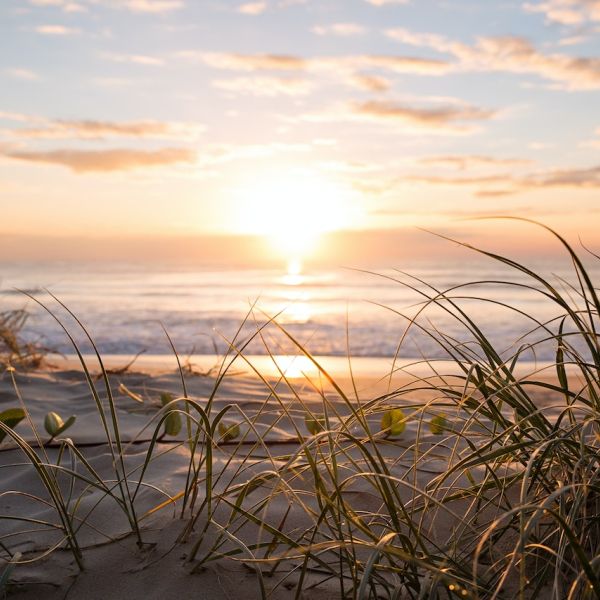 Close-up photo of a sandy beach at dawn