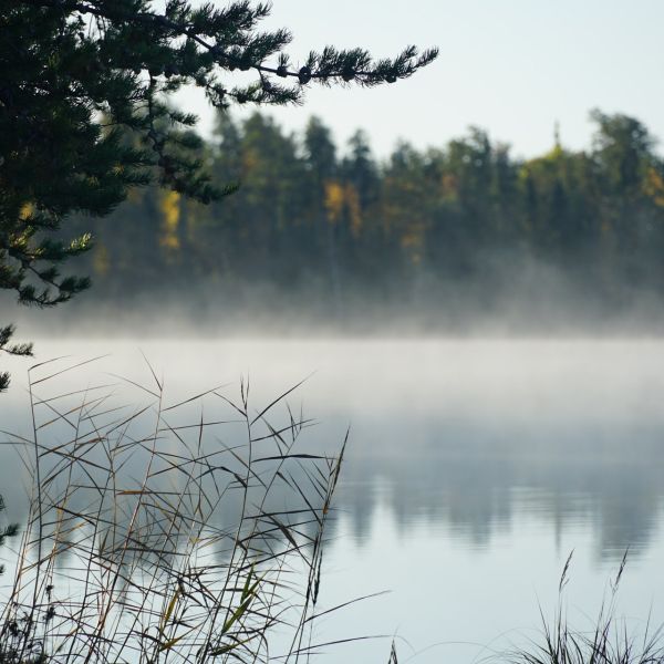 Mist rises from a lake, ringed by an evergreen forest