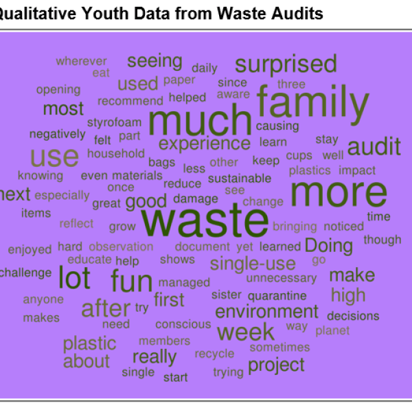 Purple background word map that reads, "much, seeing, surprised, family, experience, good, waste, more, lot, fun, enjoyed, challenge, good, doing, environment, week, project, decisions"