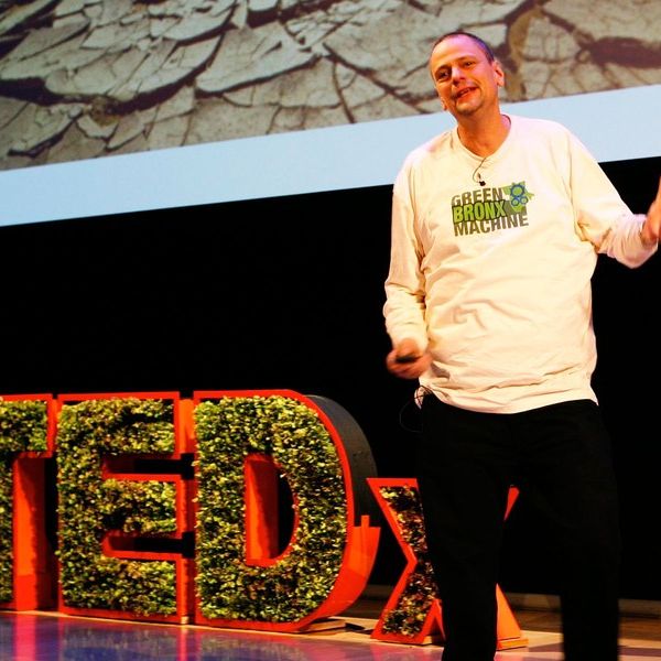 Indoor Edible Wall Gardens 