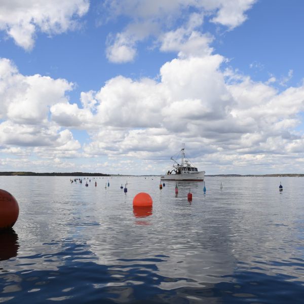 A lone boat out on the water with three red buoys