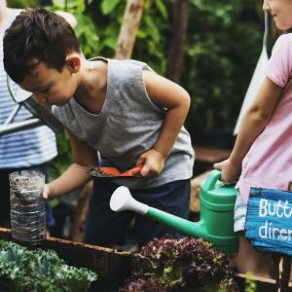 Small boy working in a plant nursery/vegetable garden.