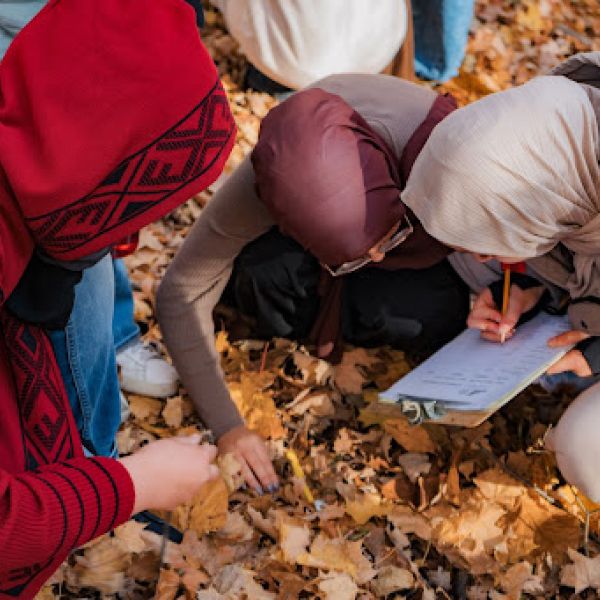 Three people in headscarves study the autumn-leaf-covered ground