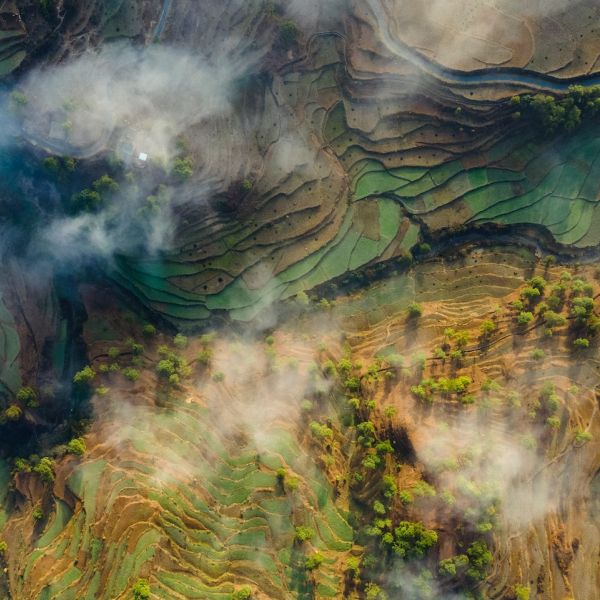 Aerial view of terrace fields