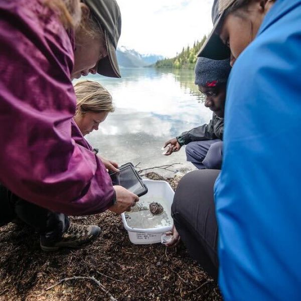 A group of students and teacher sit by a lake and investigate a water sample in a tub