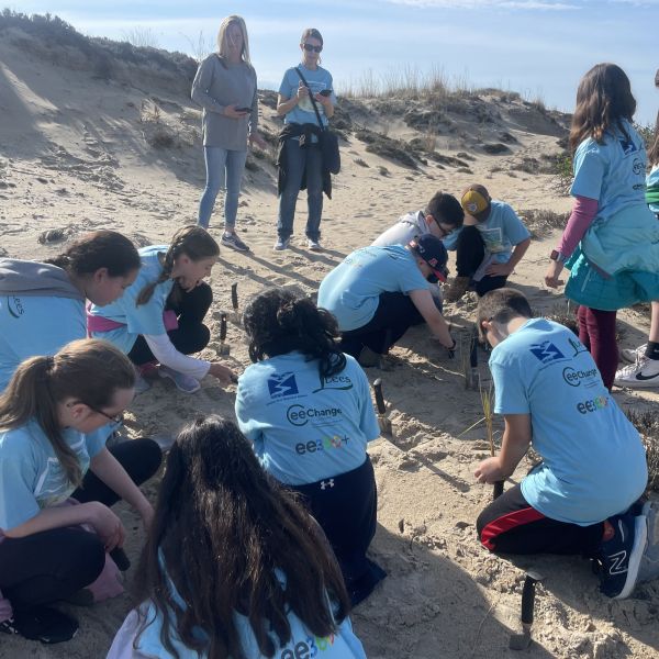 5th graders planting American Beach grass for a dune restoration project in Westport 