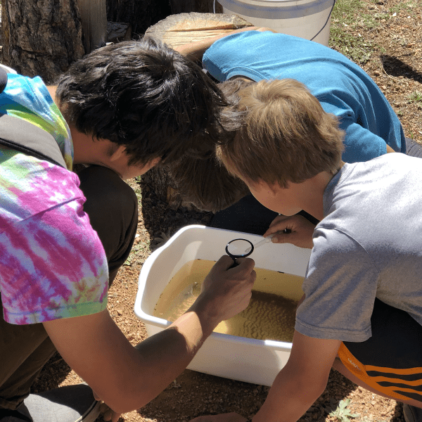 Three students lean over a magnifying glass above a white plastic tub filled with water and sediment; behind them is grassy dirt ground and a tree trunk
