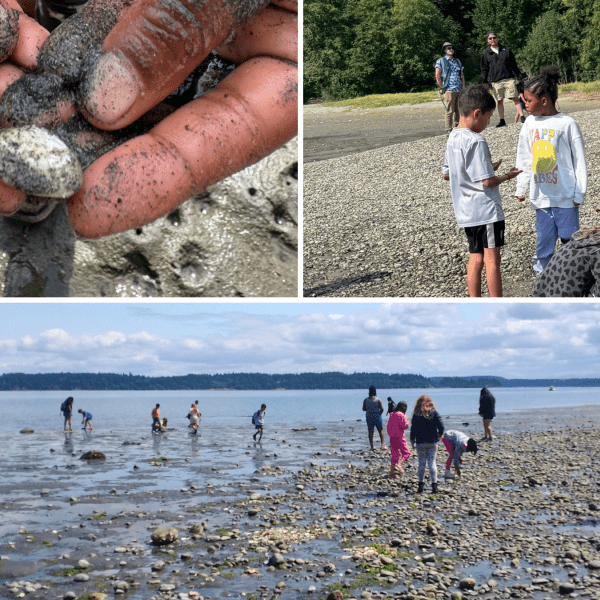 Three images: hands holding a shell; students searching the ground at shore; landscape image of a group in the water and at shore